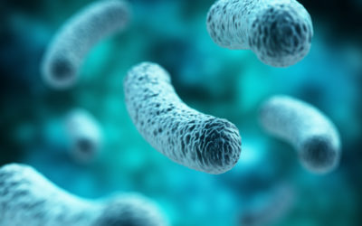 LEGIONELLA UPDATE – HOW WOULD YOU HANDLE AN OUTBREAK?